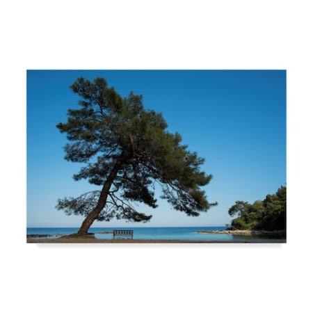 Istv�n Nagy 'Tree At The Sea' Canvas Art,22x32